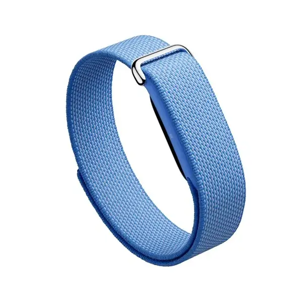 Google Fitbit Air