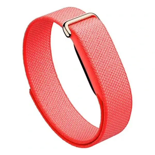 Google Fitbit Air